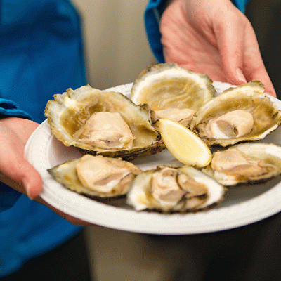 Bluff Oyster Festival 2021 – Transport