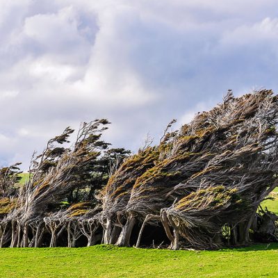 The Captivating Catlins