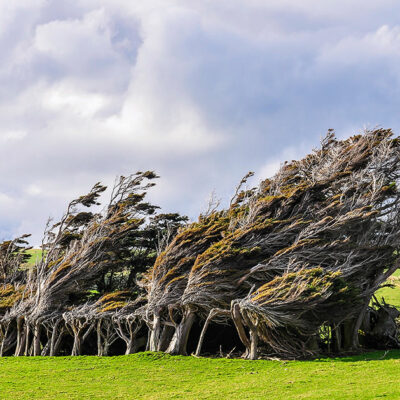 The Captivating Catlins