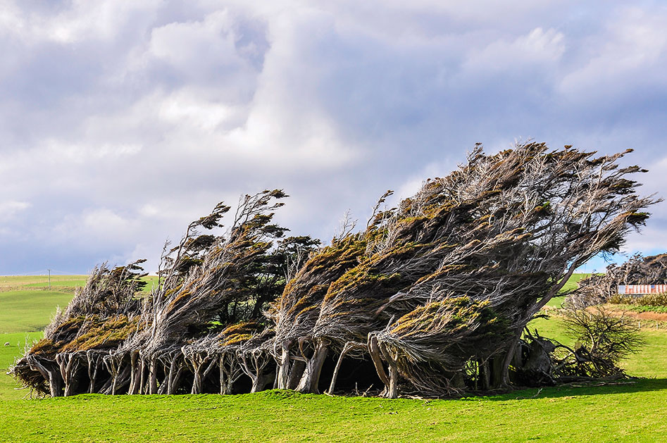 The Captivating Catlins