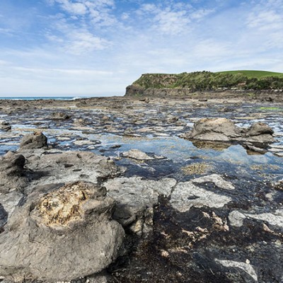 The Captivating Catlins3